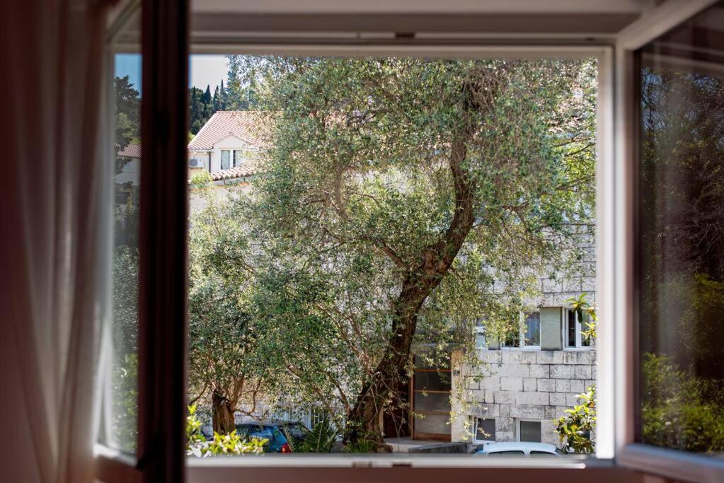 Apartamento Lapad Cove Dubrovnik